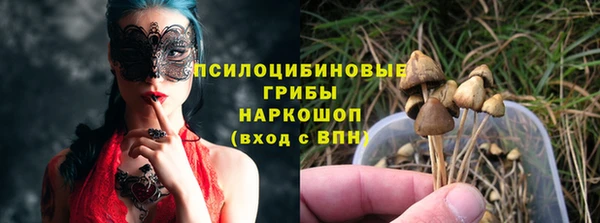 спайс Магас