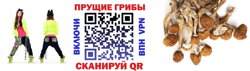 Псилоцибиновые грибы MAGIC MUSHROOMS  Называевск 